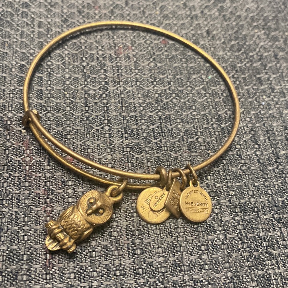 Vintage Alex and Ani Rafaelian Gold Owl Expandable Hook Bangle Bracelet OS